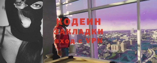 хмурый Дмитров