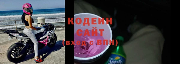 хмурый Дмитров