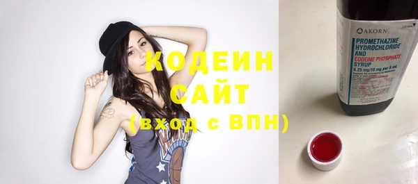 хмурый Дмитров