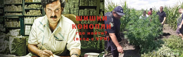 хмурый Дмитров