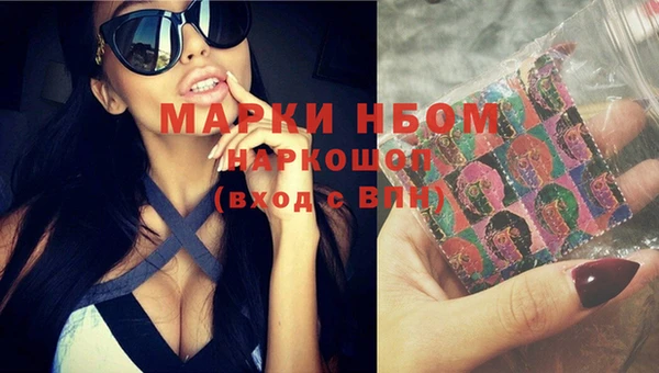гидропоника Сатка