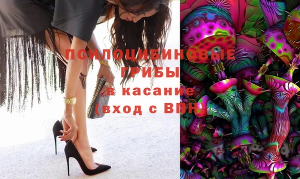 хмурый Дмитров