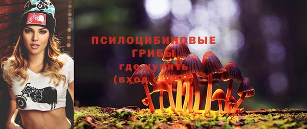 МДМА Дмитровск